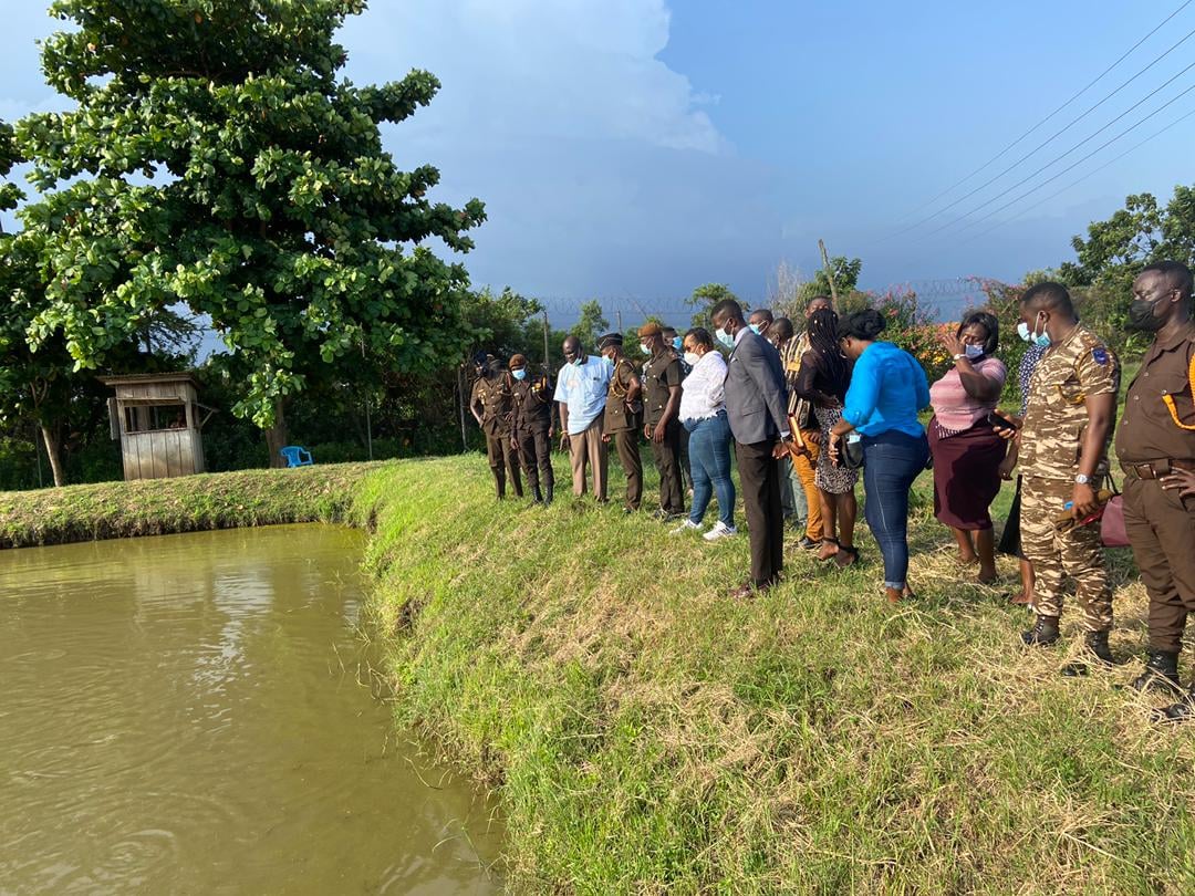 ghana_mofad's tweet photo. The Minister pledged to work hand in hand with the Prison Administration to provide additional ponds in order to increase the production.
Hon. Koomson used the opportunity to visit some ponds sites at the facility.
#JamesCampPrison
#Aquaculureforfoodandjobs https://t.co/TbZ4S5MatH