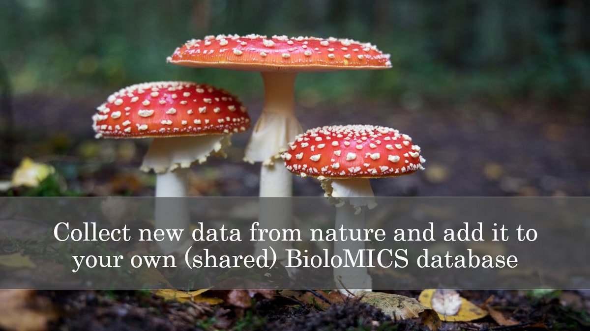 Bio_Aware's tweet image. Do you want to add new information directly into your (shared) database? BioloMICS can help you!
Analyze the new data by comparing it to other data in your database (identification) and make a phylogenetic tree (classification).
 bio-aware.com