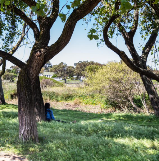 WCEDP's tweet photo. ICYMI – Read our report on the #Futurecastingct webinar w/ @CityofCT on 12 November which explored the link between #mentalhealth &amp; the #ClimateCrisis &amp; how cities like Cape Town can support well-being. Includes links to the webinar &amp; resources shared by panelists. #ecoanxiety https://t.co/rV0d7mHsqF