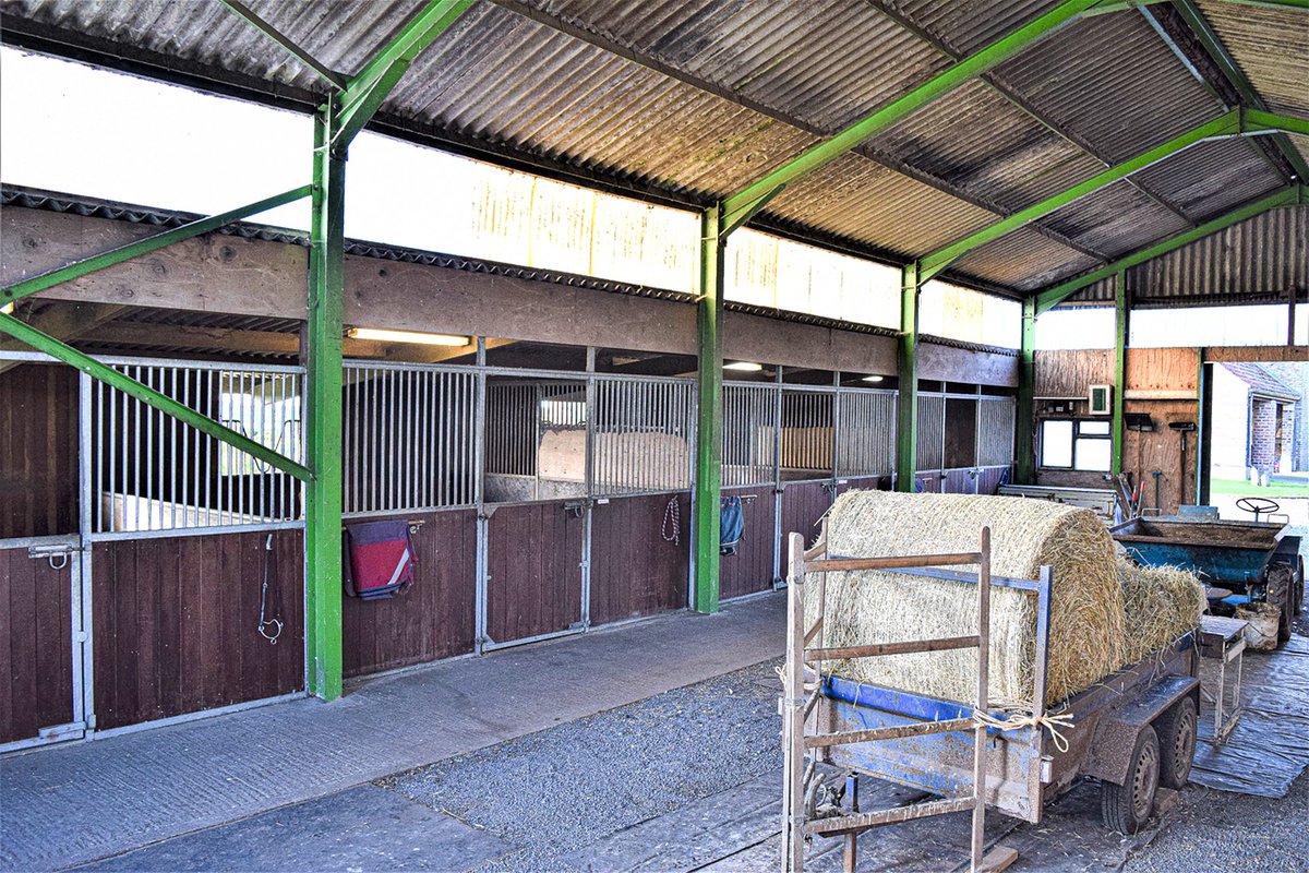 EQUESTRIAN PROPERTY FOR SALE 11.5 Acres of paddocks and woodland Barn with 6 internal loose boxes Tack feed and hay storage Canter track The Stables 4 bed home + 2 bed annex £1,500,000 Crockey Hill Yorkshire equestrianproperty4sale.com/property-for-s… @FineandCountry #equestrianproperty