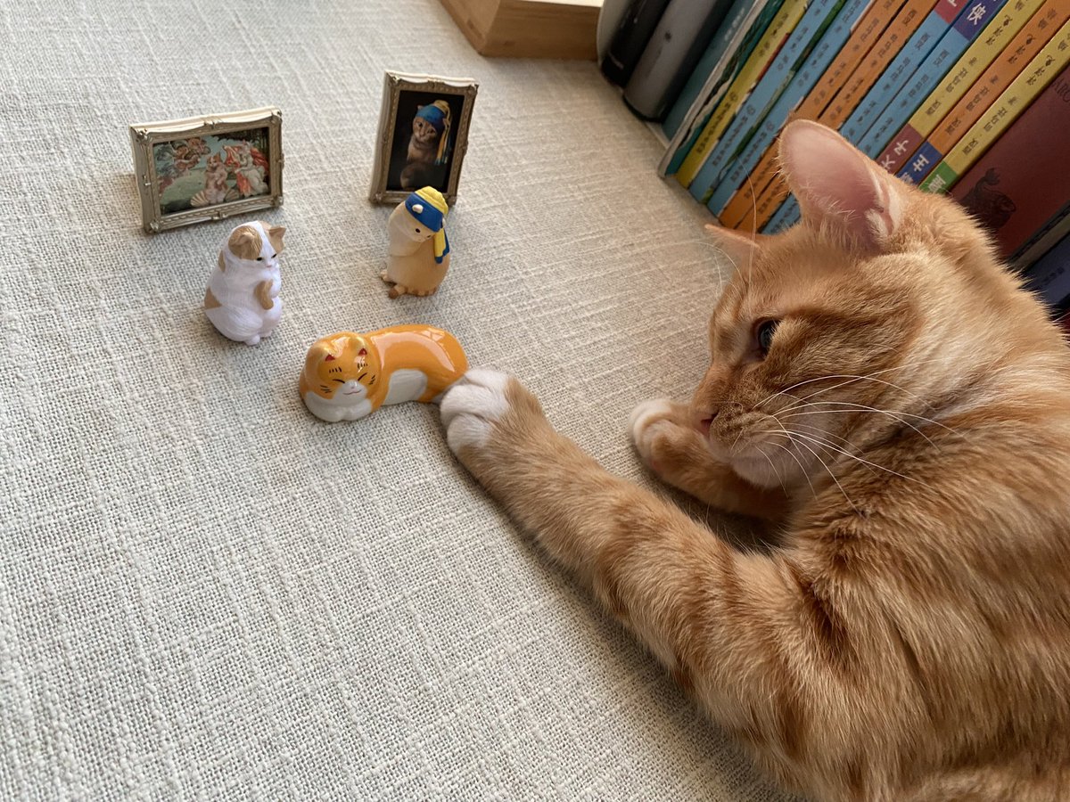 Meowfeel1's tweet photo. Our Little Angel Adrian. 🐈 👼

#CatsOfTwitter #cat #CatsOnTwitter #catboy https://t.co/p4mxyt6kX2