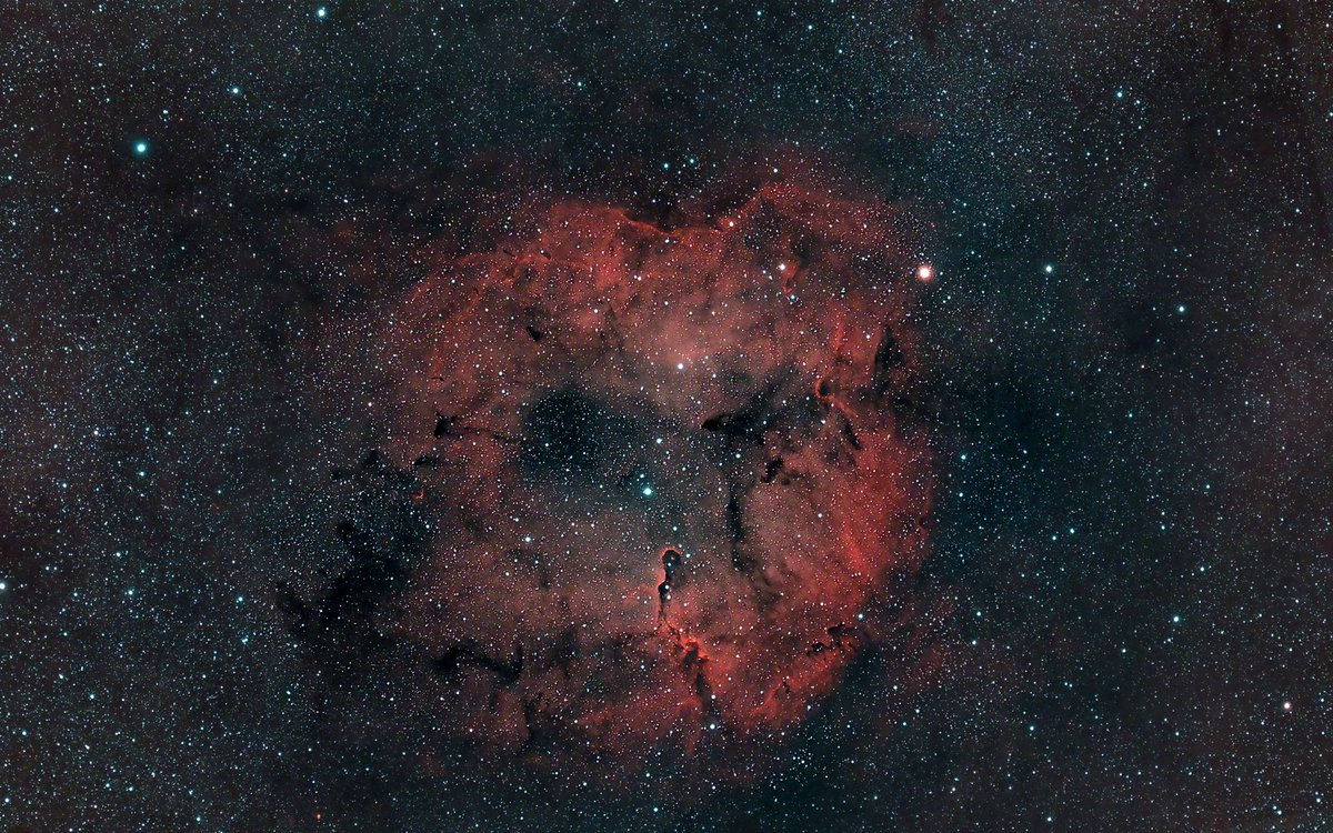 AstroGeek10's tweet photo. Elephant Trunk nebula IC 1396 is a huge emission nebula located in constellation of Cepheus. The nebula is 2,500 light years distance from us. The famous feature of this nebula is the Elephant Trunk IC 1396A that positioned in lower part of the image, which is a star nursery. https://t.co/Rhdms2tIvM