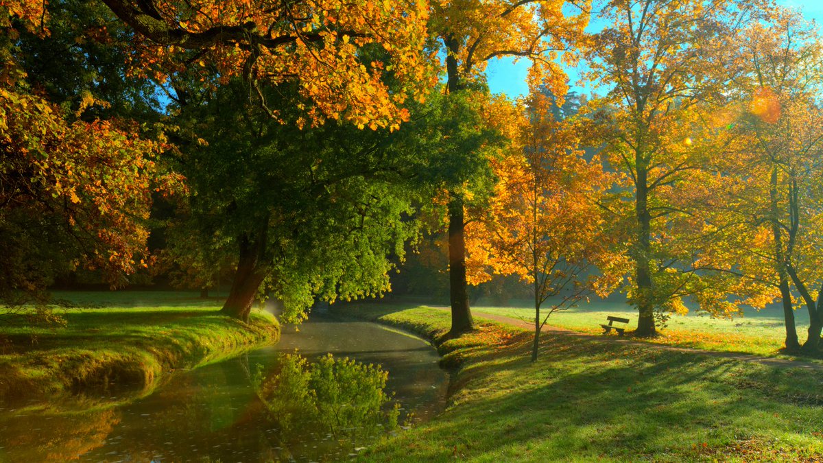 “It is not so much for its beauty that the forest makes a claim upon a human’s heart, as for that subtle something, that quality of air that emanation from old trees, that so wonderfully changes and renews a weary spirit.”  ― Robert Louis Stevenson #woodland #mentalheath