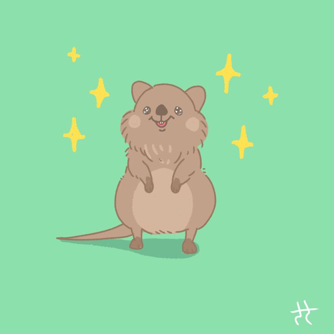 クアッカワラビーのtwitterイラスト検索結果