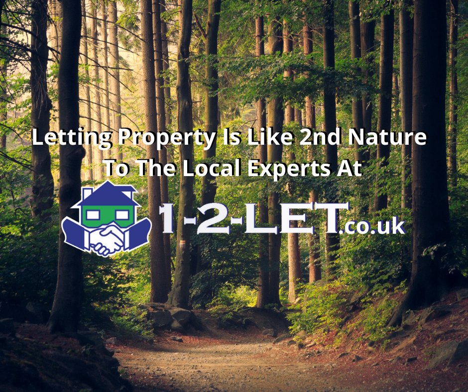 1_2_Let's tweet photo. How Many #Landlords Realise That For The local Experts At https://t.co/GXWc5XOubD, Letting Your #RentalProperty Is Like 2nd Nature. Vetted Tenants Waiting List, Lowest Fees, Rated 4.9/5. Call 0141 550 8888 To Let Your #Property Today
#LettingAgents #LettingsAgent #Property https://t.co/N6AEy9C7Ru