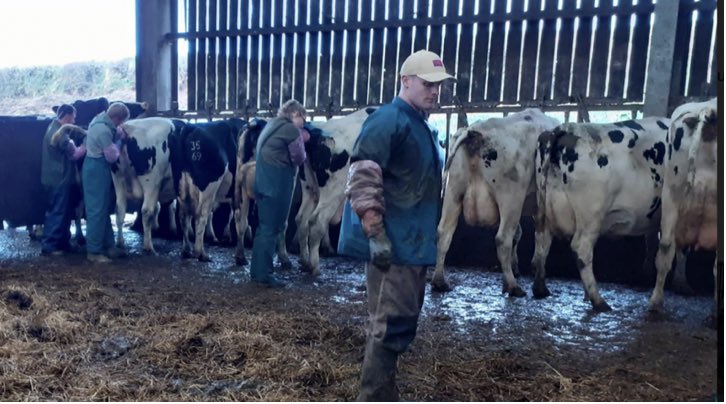 TorchFarmVets's tweet photo. 🐄Congratulations to all course attendees who passed our November Cattle Fertility &amp; AI Course.🐄 

#cattlefertility #AICourses #FarmSkills #northdevonvet #cattlebreeding #cattleai #supportingfarmers #redtractor https://t.co/y4cxXNckhG