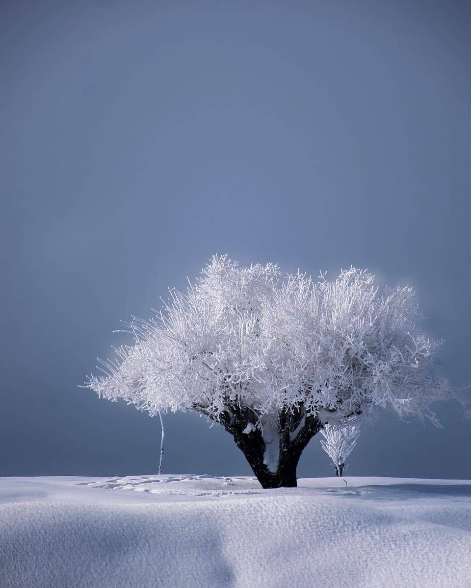 DiscoverpakTv's tweet photo. Katpana Desert(Cold Desert) - Skardu!

#allaboutSnow #WinterinPakistan #Pakistan #NorthernPakistan #DiscoverPakistan https://t.co/wo70bOS5xo