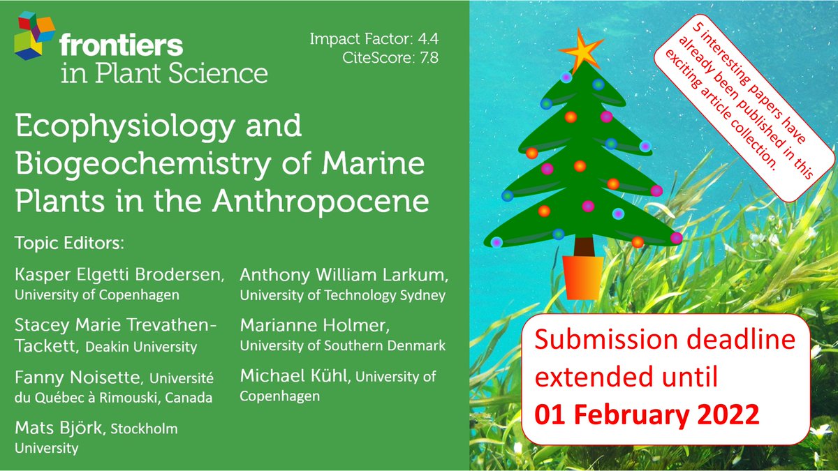 Kasper E Brodersen (@ke_brodersen) on Twitter photo Research Topic Update: As an early Christmas present the manuscript submission deadline of our Frontiers article collection on #Marine #Plants in the #Anthropocene has been extended until Feb 1, 2022.
Link: frontiersin.org/research-topic…
#seagrass <a href="/FrontMarineSci/">Frontiers - Marine Science</a> <a href="/FrontPlantSci/">Frontiers - Plant Science</a> Research Topic Update: As an early Christmas present the manuscript submission deadline of our Frontiers article collection on #Marine #Plants in the #Anthropocene has been extended until Feb 1, 2022.
Link: frontiersin.org/research-topic…
#seagrass <a href="/FrontMarineSci/">Frontiers - Marine Science</a> <a href="/FrontPlantSci/">Frontiers - Plant Science</a>