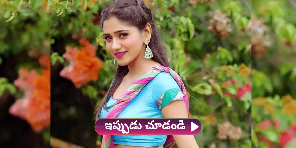 ZEE5 News tweet media