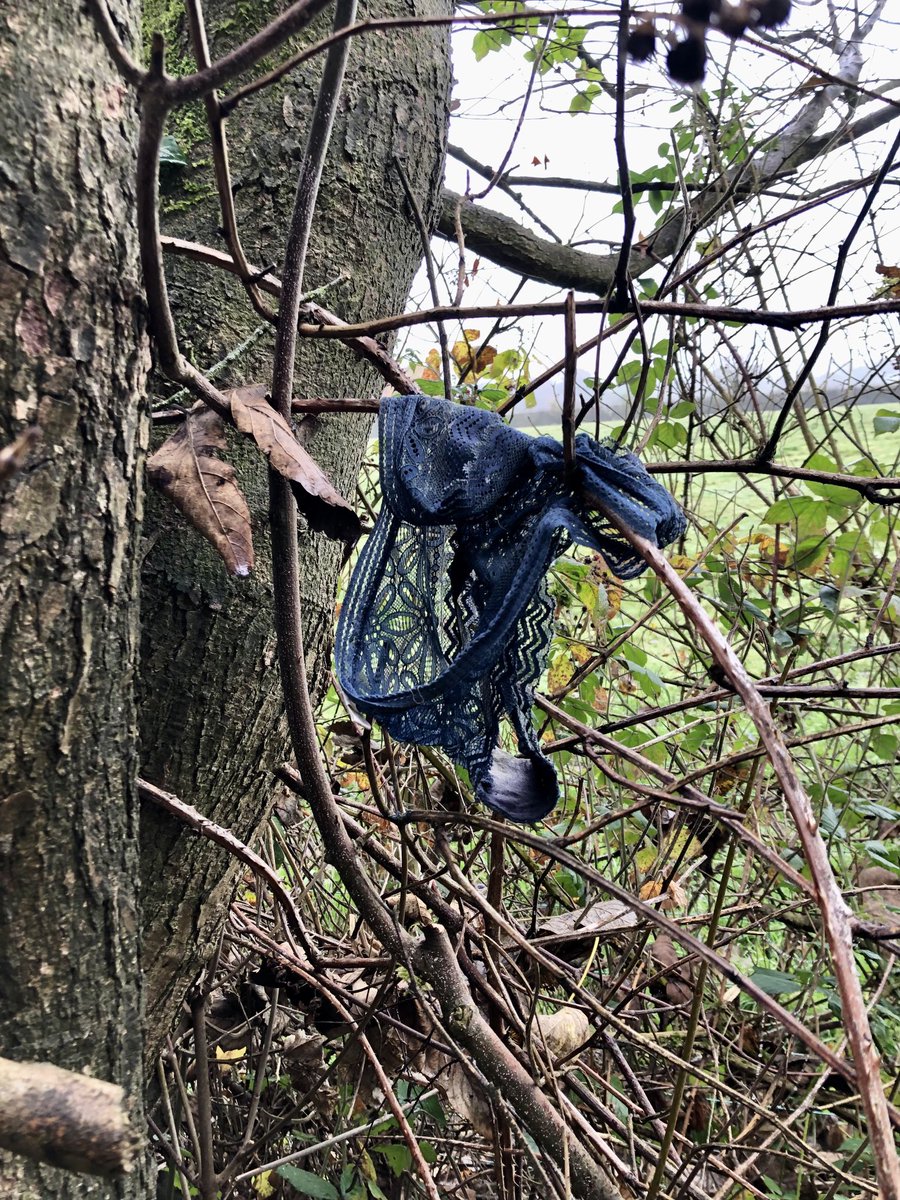 kevbrackenbury's tweet photo. “I can’t find my knickers!”

“Where did you see them last?”

“Err….”

#doggwalk #dukesdrive ⁦@ShitChester⁩ https://t.co/smQFh84Xms