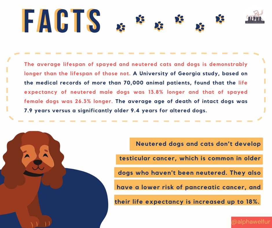 ALPHAwelfur's tweet photo. For the 2nd topic of Animal Welfare 101, we will talk about the solution which is Neuter/Spay or in Filipino known as Kapon. It is time to call for an action towards the better being of the animals.

#ALPHAwelfur
#AnimalWelfare101
#Kaponangsolusyon
#Neuter https://t.co/msRyPSbAmF