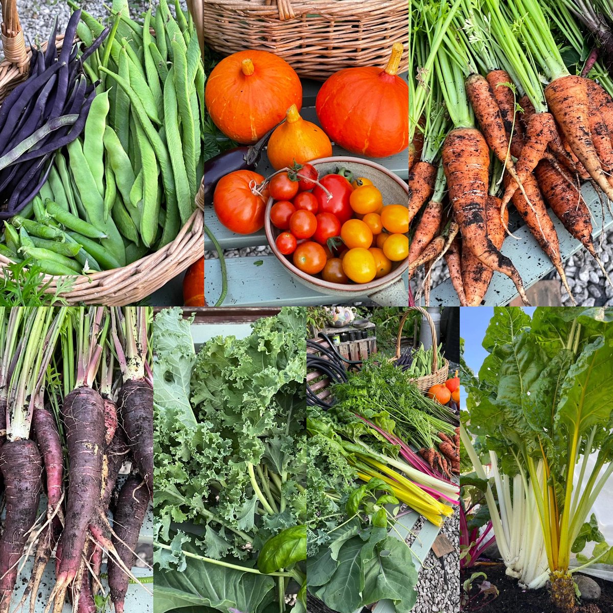 Tell us what you think! If you take a moment to fill in our survey about ideas in the pipeline including local food strategies, a library of things and a drop-in centre then we can gauge which get the 👍 or 👎.
To take the survey click here:

docs.google.com/forms/d/e/1FAI…