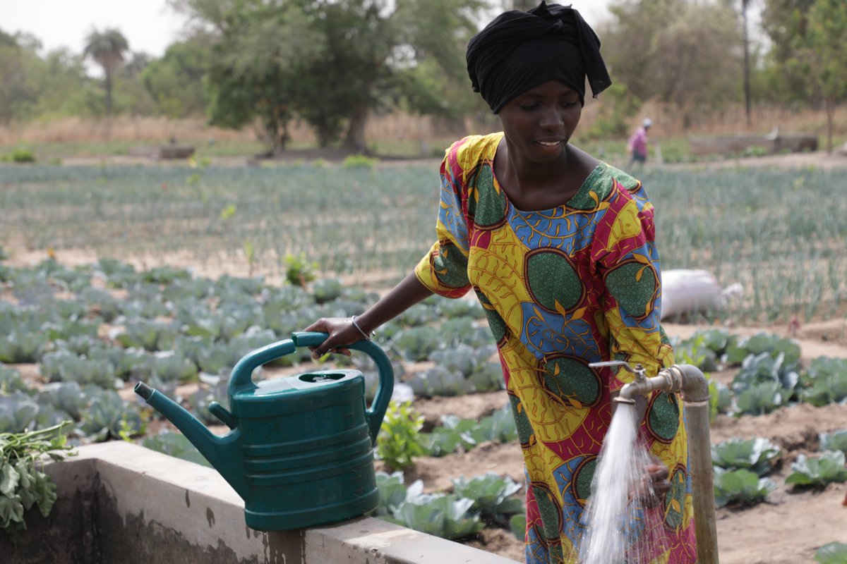 FIDAfriqueOuest's tweet image. Les Organisations régionales de producteurs @roppainfo s&apos;engagent à jouer leur partition pour l&apos;atteinte des objectifs fixés par le programme Sahel en réponse aux défis #Covid19, Conflits et Changements climatiques #SD3C @G5_Sahel_SE 
@FAOAfrica @IFADfrancais @WFP_WAfrica