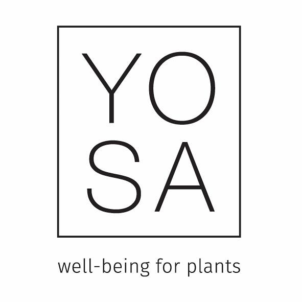 Working with a new plant care / food product that's paired with crystals. A perfect Christmas gift for indoor plant lovers.

#journorequest contact me if anyone is putting together a gift guide or shopping piece.

#giftguide #Christmasgifts #plantcare #plantfood #crystals