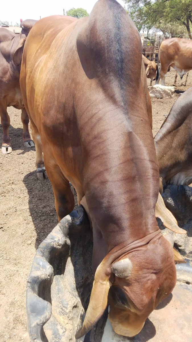 ICTin Agriculture tweet media