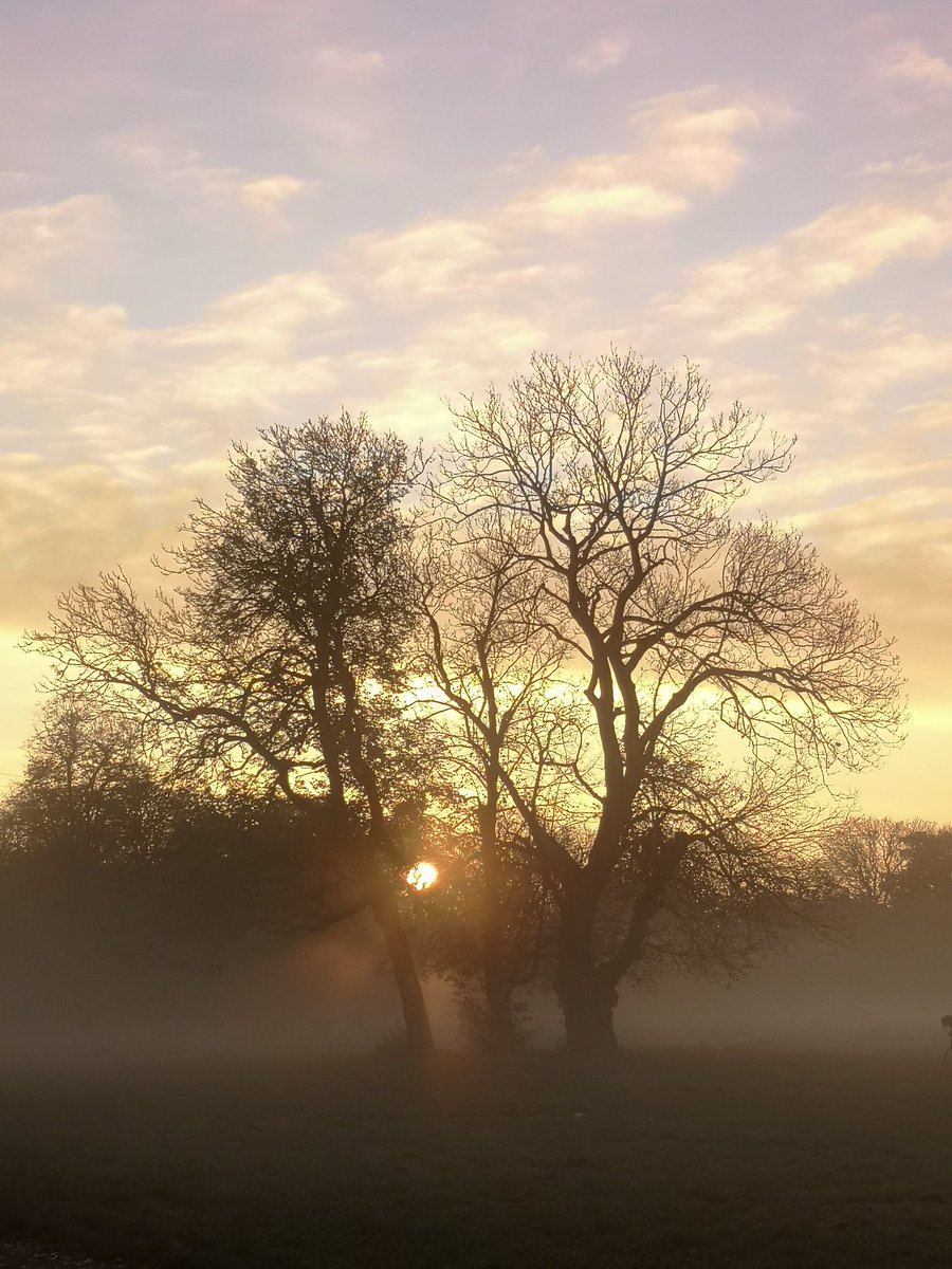 PalmerPhotoUK's tweet photo. Sunrise in #mordenhallpark was absolutely stunning this morning ❤️ Mr H &amp; I enjoyed sitting on a bench watching the sun come up through the mist 😍 @itvweather https://t.co/IcrjFEMXxP