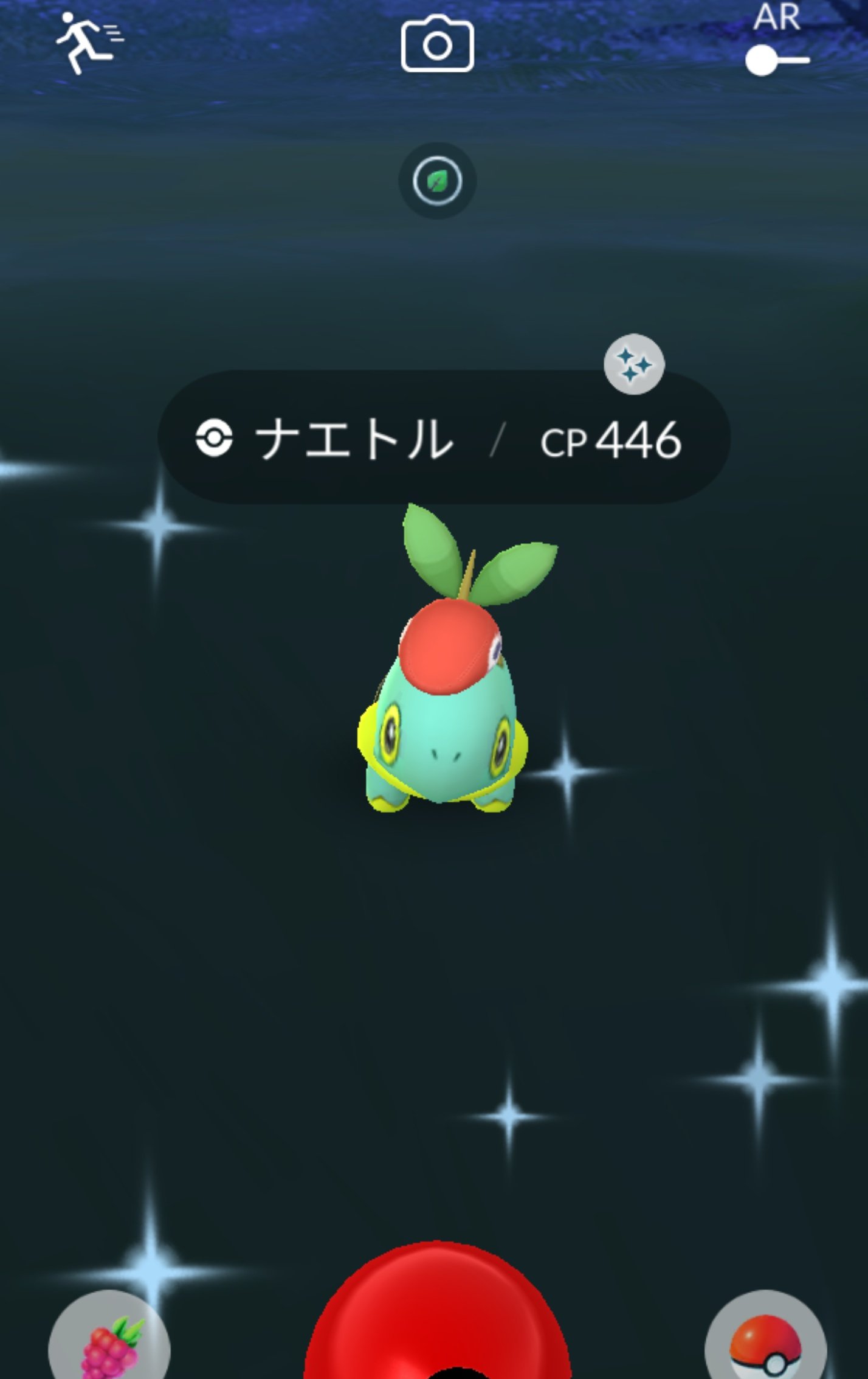 メガリーフィア コウキ帽子の色違いナエトルゲットした S S 序でにレベルアップした ポケモンgo T Co Niwyopsyhe Twitter