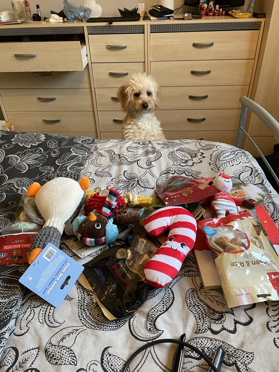 The face of a boy who has accidentally seen his Christmas presents but isn’t allowed them for 5 more weeks :(