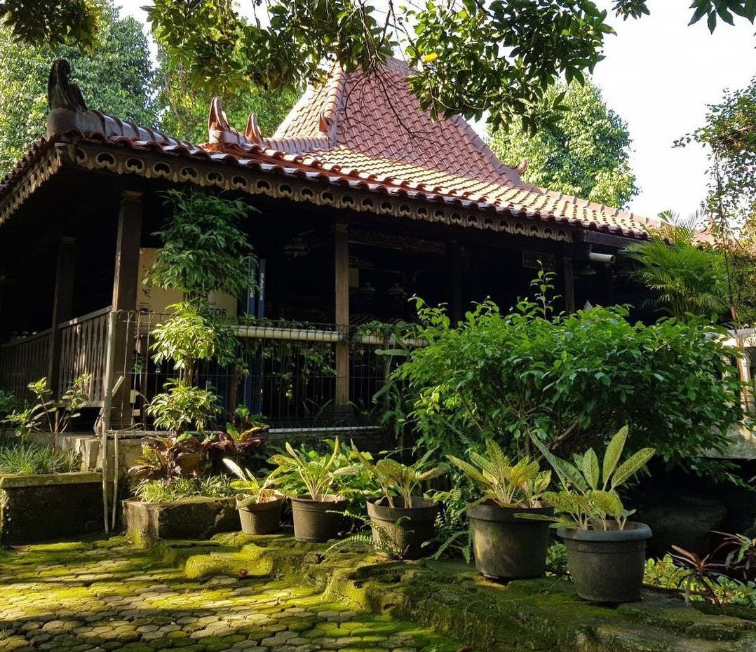 Buat temen2 atau followers yang lagi nyari tempat untuk prewed, arisan, acara keluarga, reuni dll aku ada nih tempat yang bisa disewain. Bisa outdoor atau indoor, harga bisa nego. Ini tempat tinggal orang tua aku. Lokasi Jakarta.