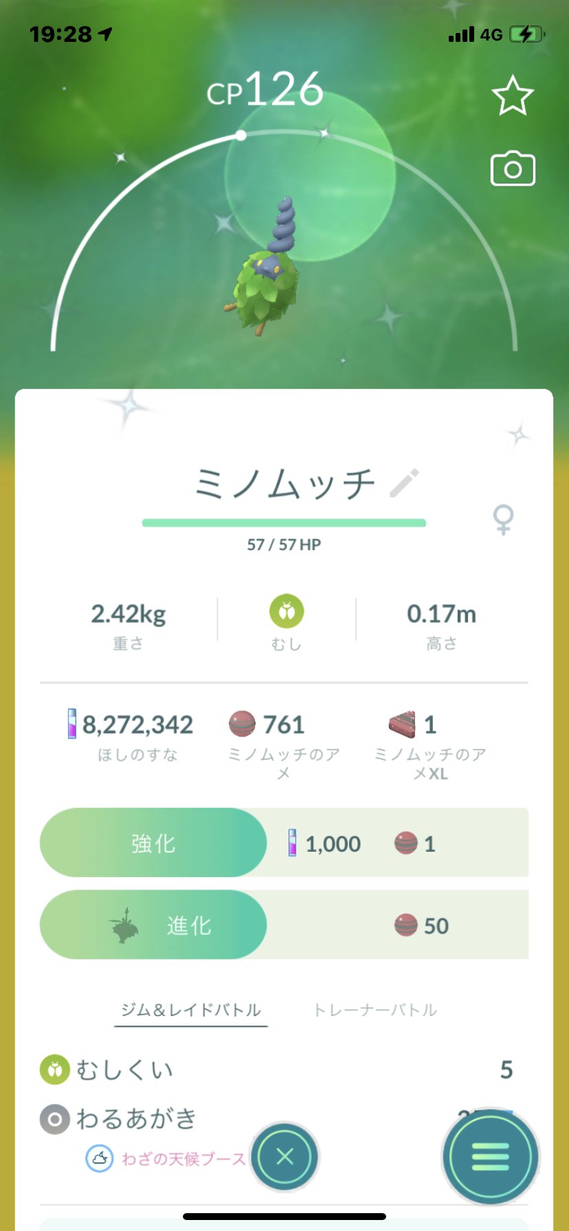 色違いミノムッチ Twitter Search Twitter