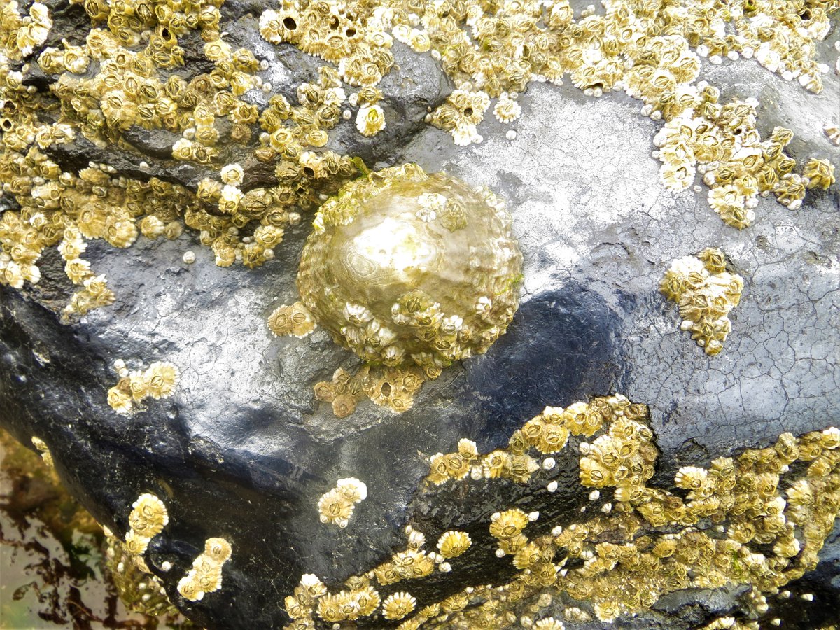 Kerry Geo tweet media