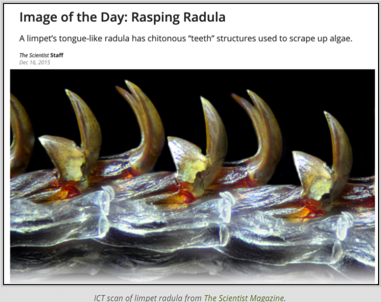 Kerry Geo tweet media