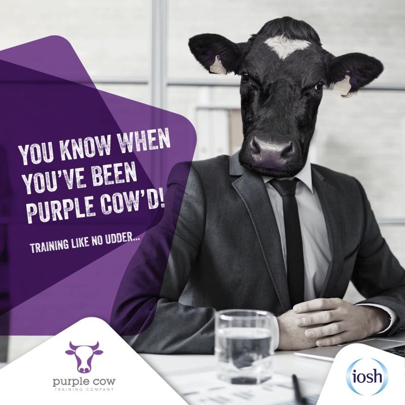 PurpleCowTrain's tweet photo. IOSH training courses are suitable for people of all levels, in any sector and organisation, providing staff with the essential knowledge on how to manage health, safety and wellbeing.

Email bookings@purplecowtraining.co.uk for further information.

#IOSH #management #safety https://t.co/1e1u3eIYpf