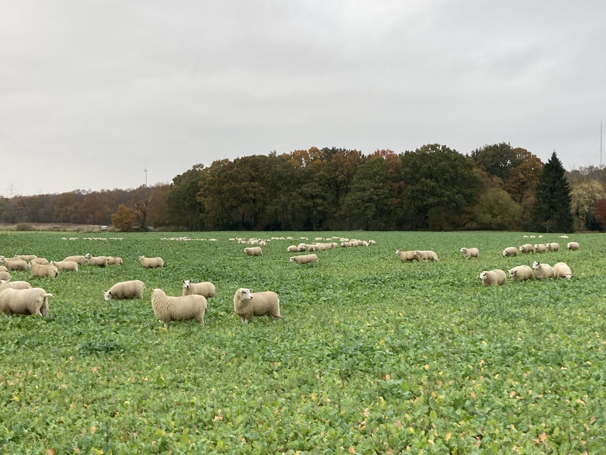 Farming is often about acting on a gut feeling…….this feels right!