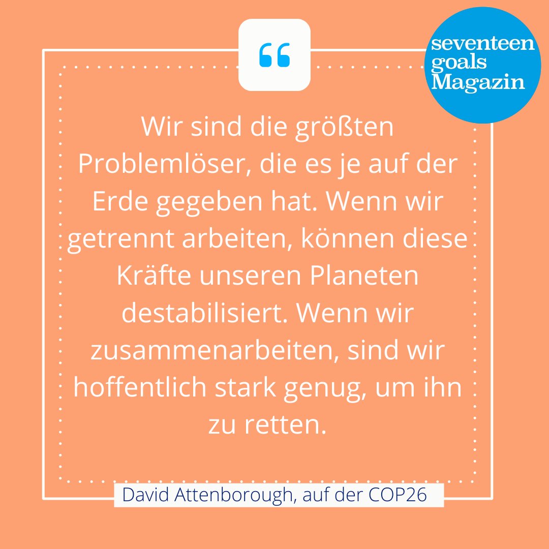 Seventeen Goals Magazin tweet media