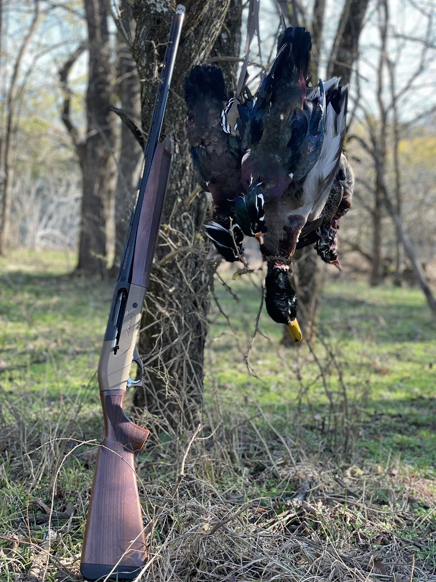 craigkfowler's tweet photo. Shot a few creek ducks this morning with the 20. #retay #masaimara #woodies #mallards #20gauge #ducks https://t.co/p0t3q0DVZD