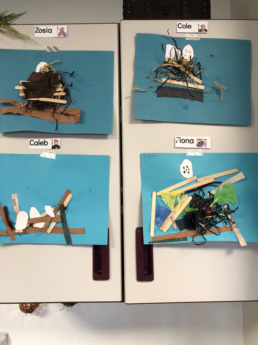amayer_teach's tweet photo. Some snapshots of our bird inquiry. Still patiently waiting for them to find our feeder! https://t.co/hajKYMFasd