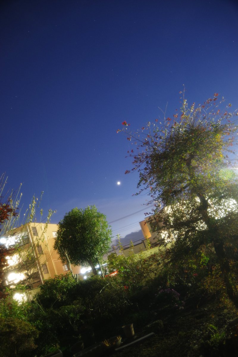 Touyaasagiri's tweet photo. 庭から金星
#PENTAX #K70 #ナノトラッカー #RecMountPLUS https://t.co/AvcpLT2DLt