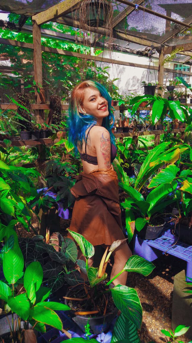 SophyaSplit's tweet photo. Great tuesday for everyone🌱🌳
#Plant #tattoo #Tuesday https://t.co/JBUH0NraQJ