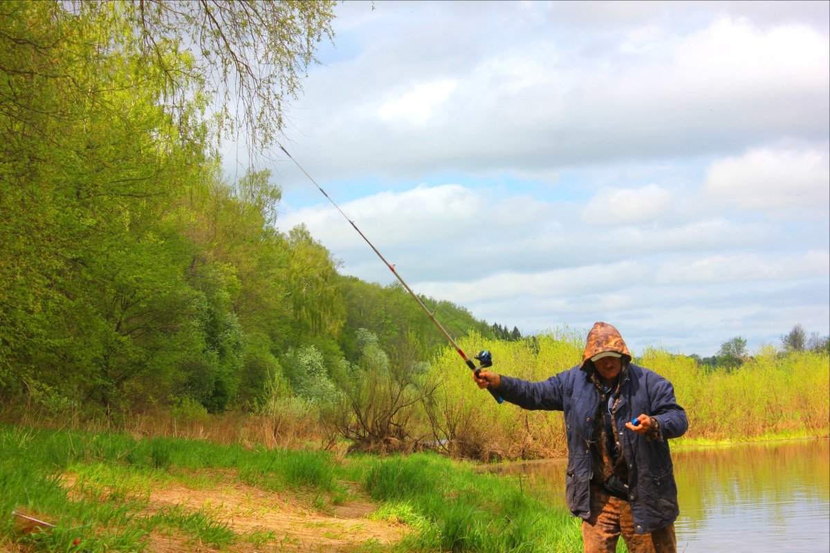 fishlaizer tweet picture