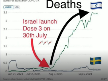 Leonchik tweet media