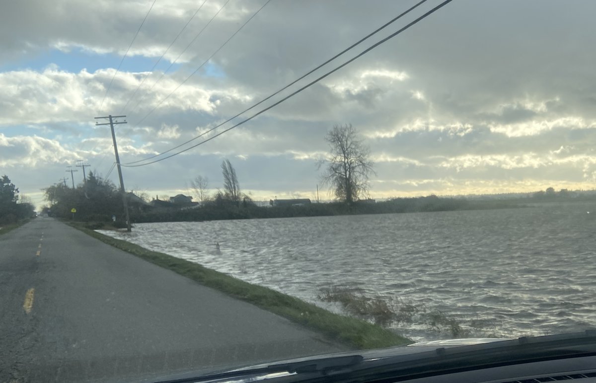 We are used to some flooding, but check out the ditch now level with the turf field near our property, it had whitecaps! One flight pen full of birds had to move to another due to flooding but the patients are now high and dry. 
Our thoughts are with those who had to evacuate