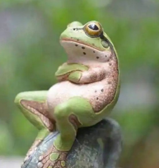 You wan make I entertain you. I'm an entertainer. #EVERGLOW