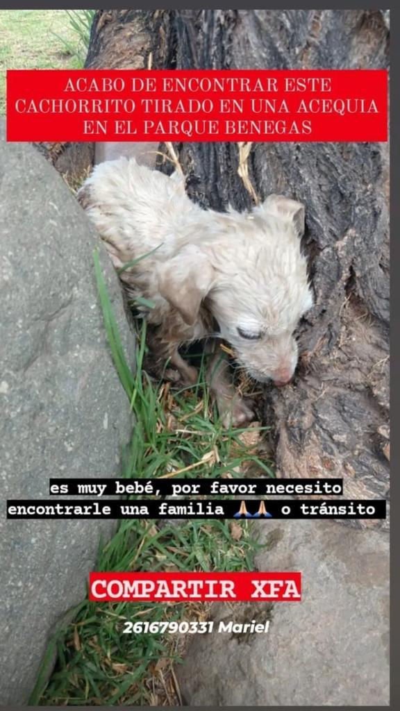 milimontuelle1's tweet photo. Difundir porfavor!!!! https://t.co/dbCJshAhK1