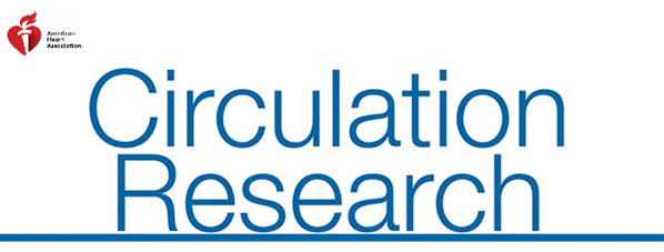 SimsScienceNews's tweet photo. CIRCULATION RESEARCH | Editor's Picks | October and November 2021 
@AHAScience @CircRes 

https://t.co/atIWFt9Nwv https://t.co/EWufTFrmSp