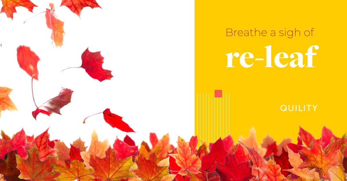 QuilityI's tweet image. Make sure you leaf your loved ones secure. Protecting your family shouldn’t be something you have to worry about. You want coverage that fits your life — and we make it simple. Get started today at: fal.cn/3jSks.

#lifeinsurance #fallpuns #quilityinsurance