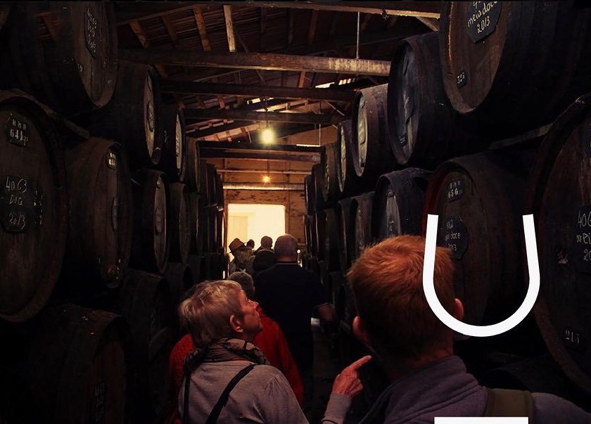 wine_alle's tweet photo. H.M.Borges was founded in 1877 by Henrique Menezes Borges and it is currently managed by the fourth generation of his family.
It is located in the center of Funchal, in a centenary building where it has been working since 1924.

#winetourism #winelover #winescape #partnership https://t.co/m9kLLcXG89