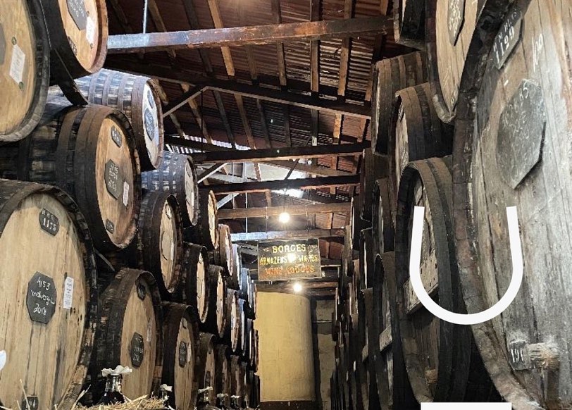 wine_alle's tweet photo. H.M.Borges was founded in 1877 by Henrique Menezes Borges and it is currently managed by the fourth generation of his family.
It is located in the center of Funchal, in a centenary building where it has been working since 1924.

#winetourism #winelover #winescape #partnership https://t.co/m9kLLcXG89