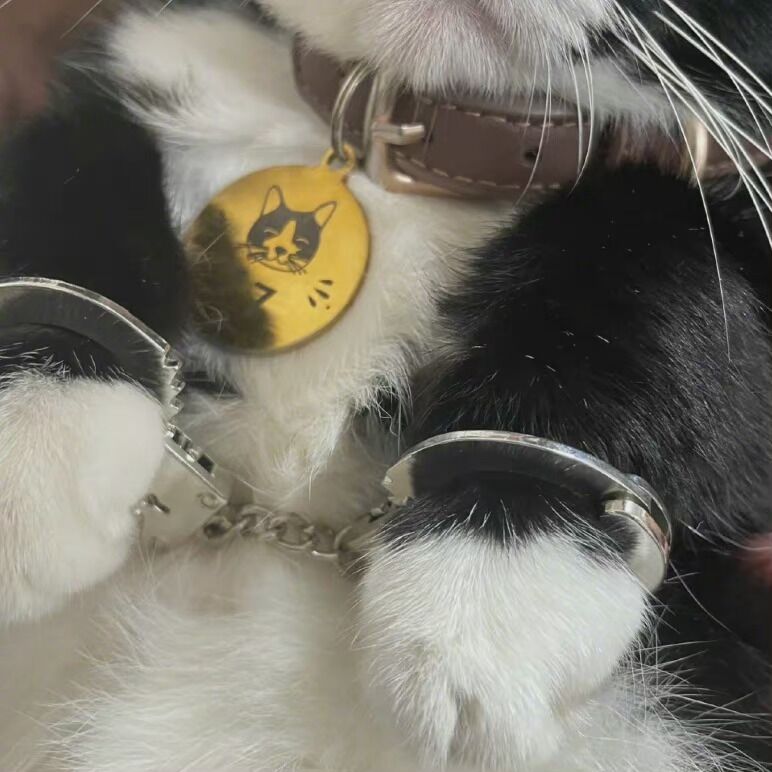 猫猫。 https://t.co/THRNuTU6dL