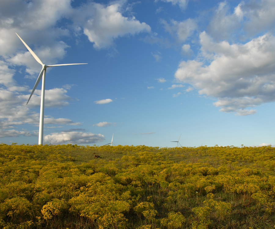 BoostKS's tweet photo. #Renewableenergy has provided Kansas more than 3,000 jobs and millions of dollars in investments. Our state's leadership in #cleanenergy has resulted in economic benefits that won’t be slowing down. For more information, visit https://t.co/vpgvn0EgMP. https://t.co/xdi0303Q8G