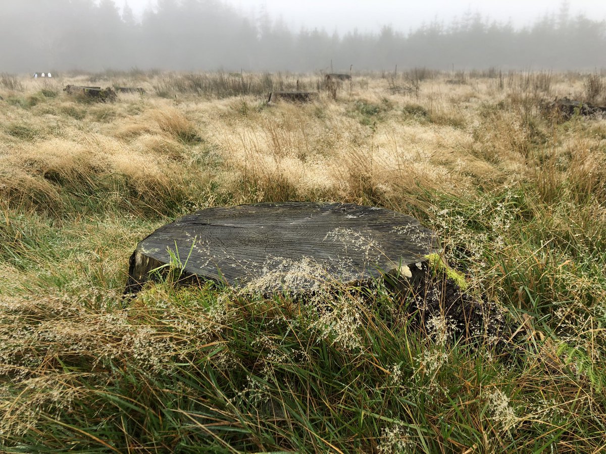 Wexford_Walking's tweet photo. The countryside was enshrouded in fog when the #Wexford Walking Trail Network walked the trails on Forth Mountain last Sunday. Thanks to Michael Brazzill, Yvonne Byrne & local volunteers.🍂
Info:👉https://t.co/qoqEULS984
👉https://t.co/lNlaQ7LscT #forthmountain #wexfordtrails https://t.co/34RM8bbizX
