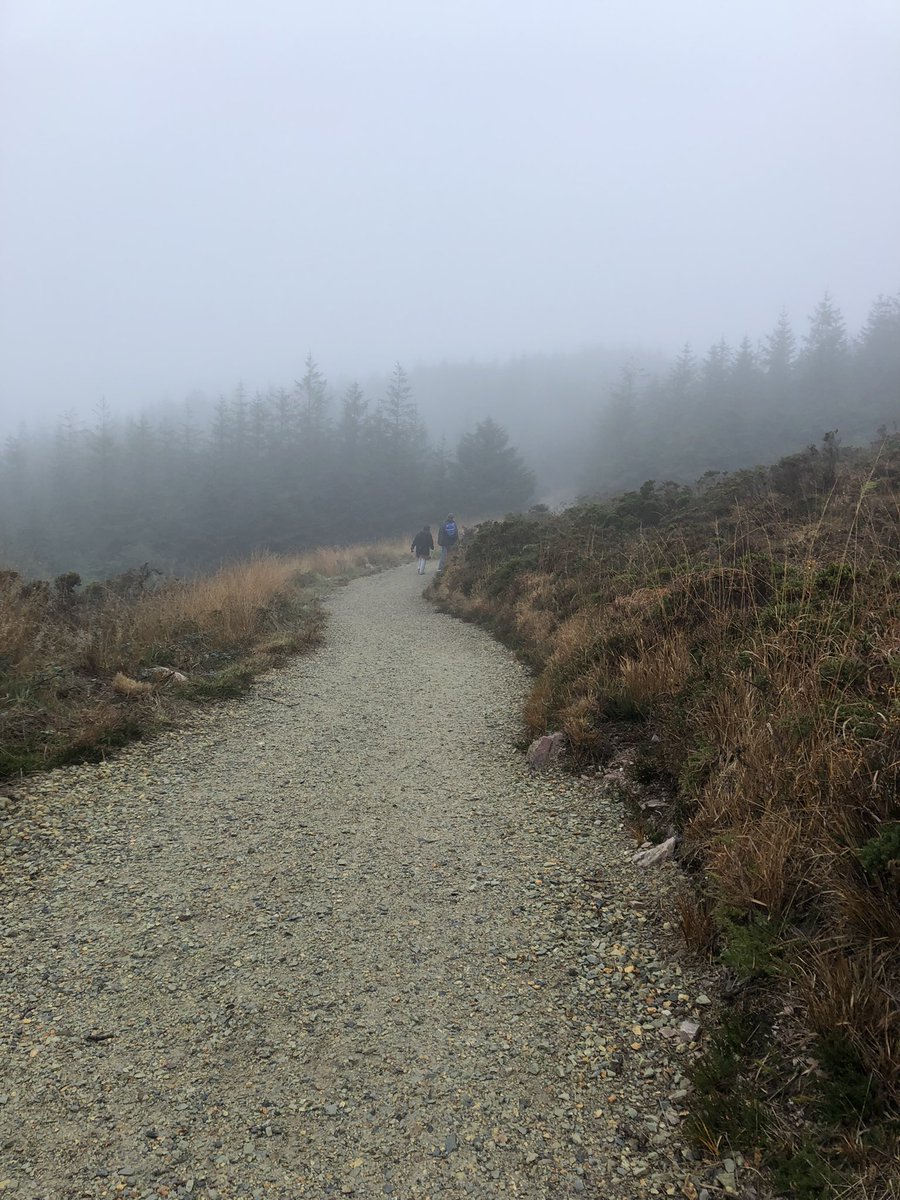 Wexford_Walking's tweet photo. The countryside was enshrouded in fog when the #Wexford Walking Trail Network walked the trails on Forth Mountain last Sunday. Thanks to Michael Brazzill, Yvonne Byrne & local volunteers.🍂
Info:👉https://t.co/qoqEULS984
👉https://t.co/lNlaQ7LscT #forthmountain #wexfordtrails https://t.co/34RM8bbizX