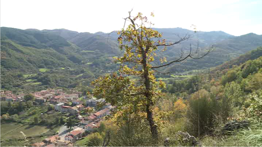 TgrRaiCalabria's tweet photo. #AnagrafeDigitale al via, ma all'appello mancano 56 centri. Molti in #Calabria .
Siamo andati a #Domanico, dove il sindaco dice: "Non abbiamo personale e mezzi, lo Stato ci ascolti".
Leggi di più su https://t.co/0u2gbqsMrV https://t.co/wcpXjHPRwr