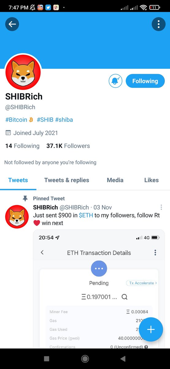GoingUp60701225's tweet photo. @SHIBNFTgiveaway https://t.co/KbIGS11pNE
