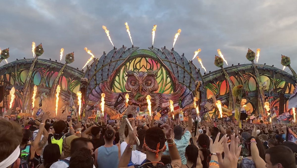davecontrerass's tweet photo. EDC 21 🦉 https://t.co/Mlp7AmNWRi