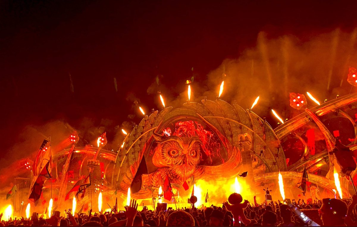 davecontrerass's tweet photo. EDC 21 🦉 https://t.co/Mlp7AmNWRi